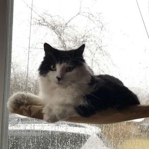 Meet your Posher, Megan